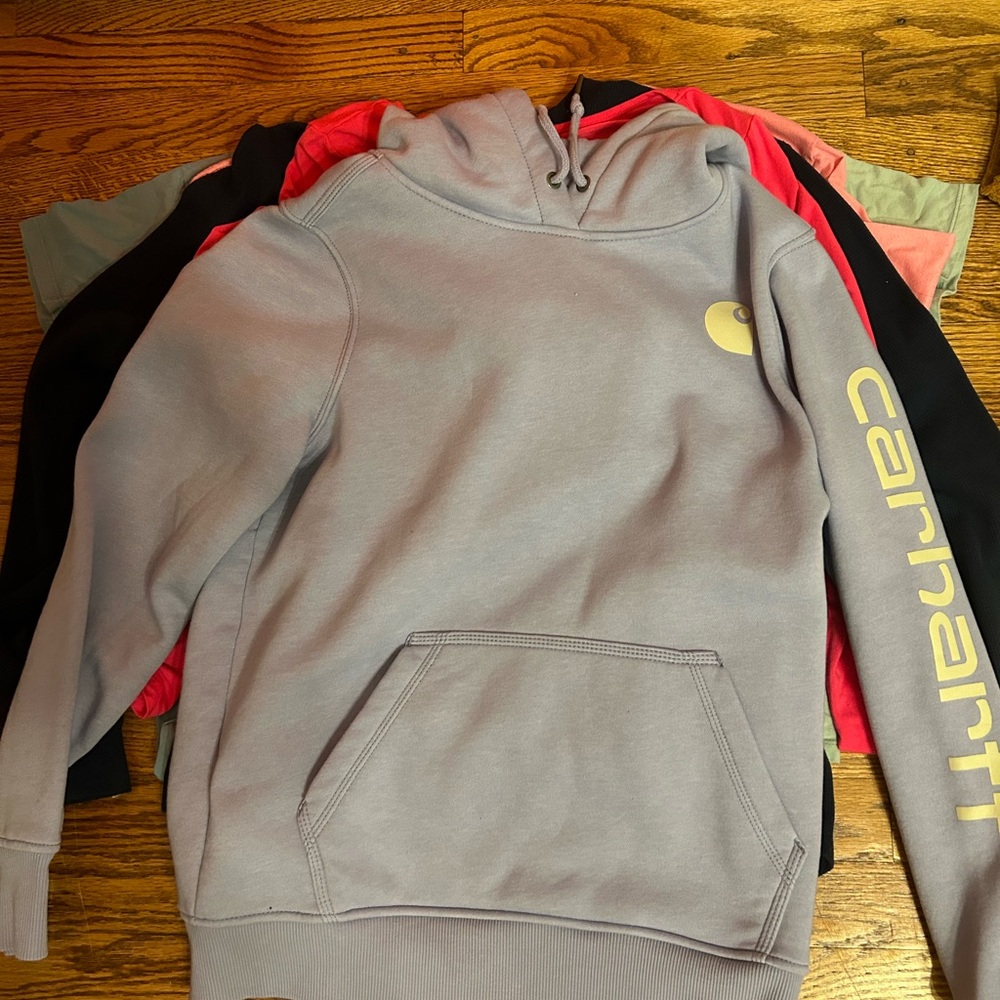 Purple Carhartt hoodie